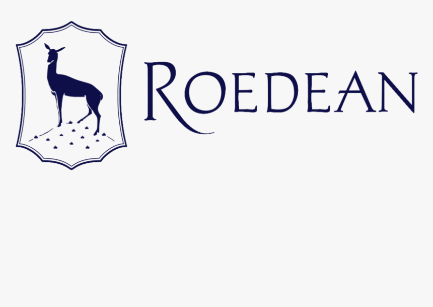 Roedean Landscape Logo 02 Blue - Roedean School Logo