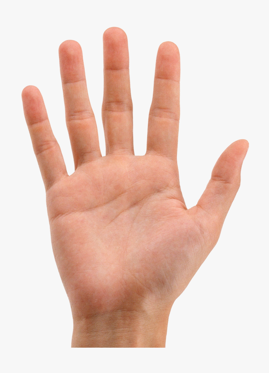 Hands Png Image - Pte Describe Image Template