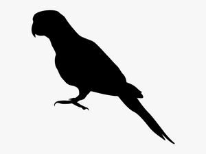 Parrot Bird Drawing Silhouette Clip Art - Parrot Silhouette Transparent