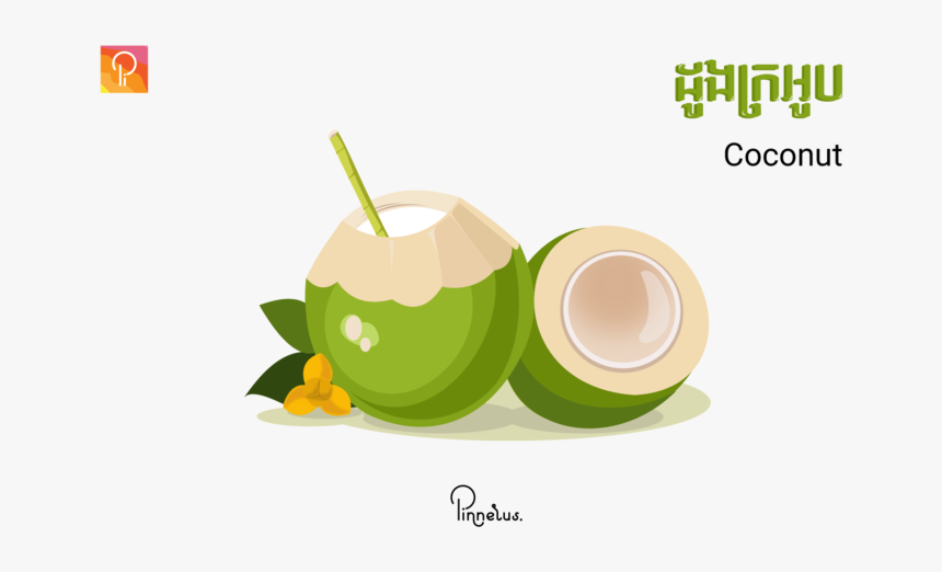 Coconut Coconut Vector - Coconut