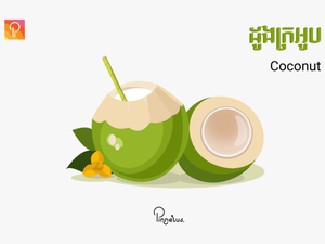 Coconut Coconut Vector - Coconut Vector Png