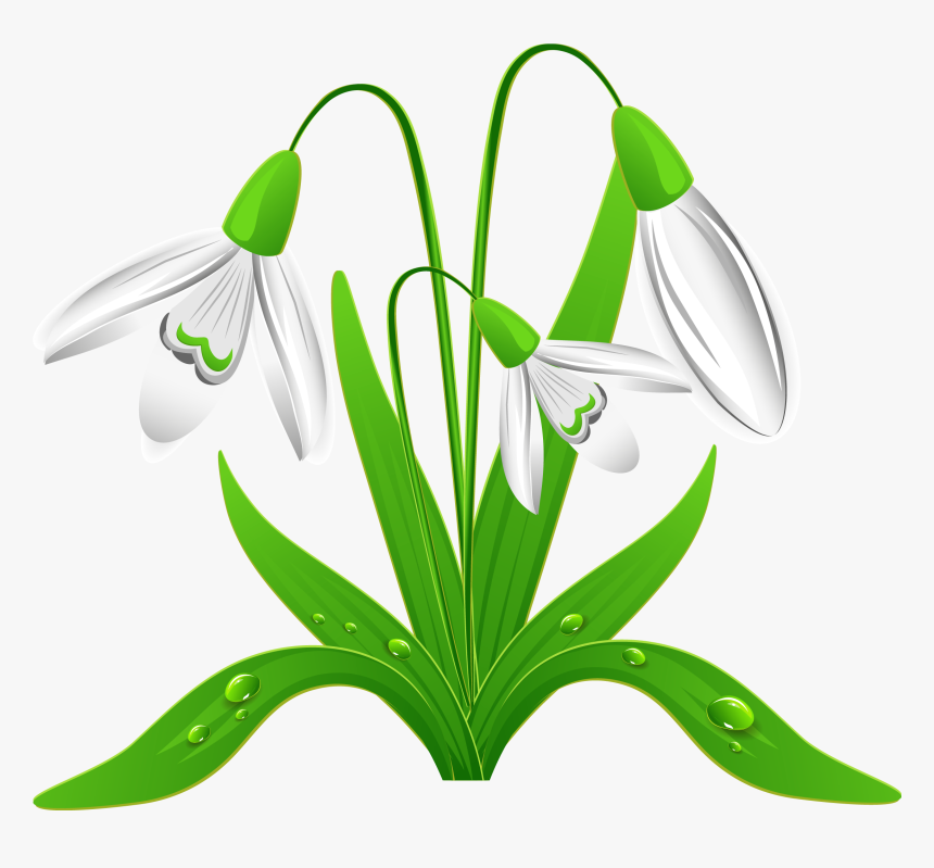 Spring Clipart Free - Snowdrop Clipart