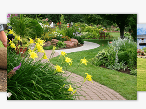 Landscape Designs - Paths In Garden Design