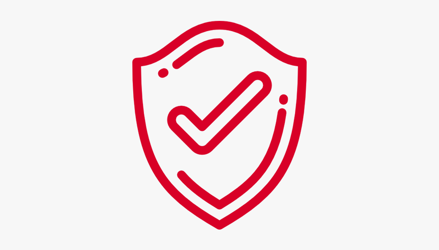 Security Measures Icon