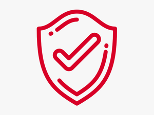 Security Measures Icon