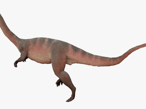 Dinosaurs Of Triassic Period Sellosaurus