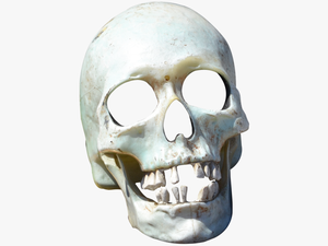 Transparent Skull Png