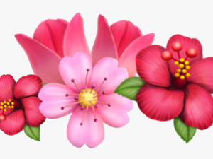 #flower #emoji #sakura #tulip #crown #flowercrown #crownflower