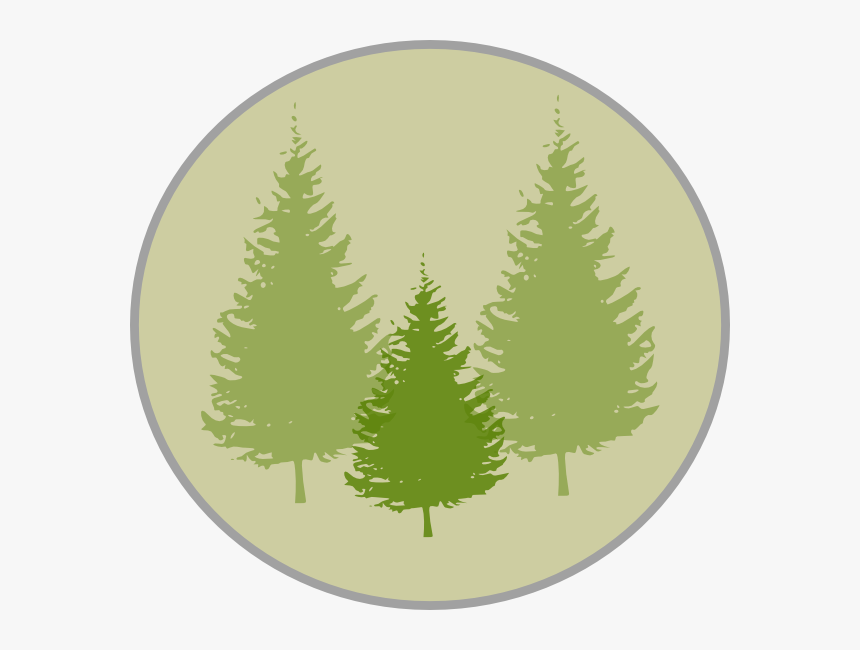 Fir Tree Clipart Three Pine - Pi