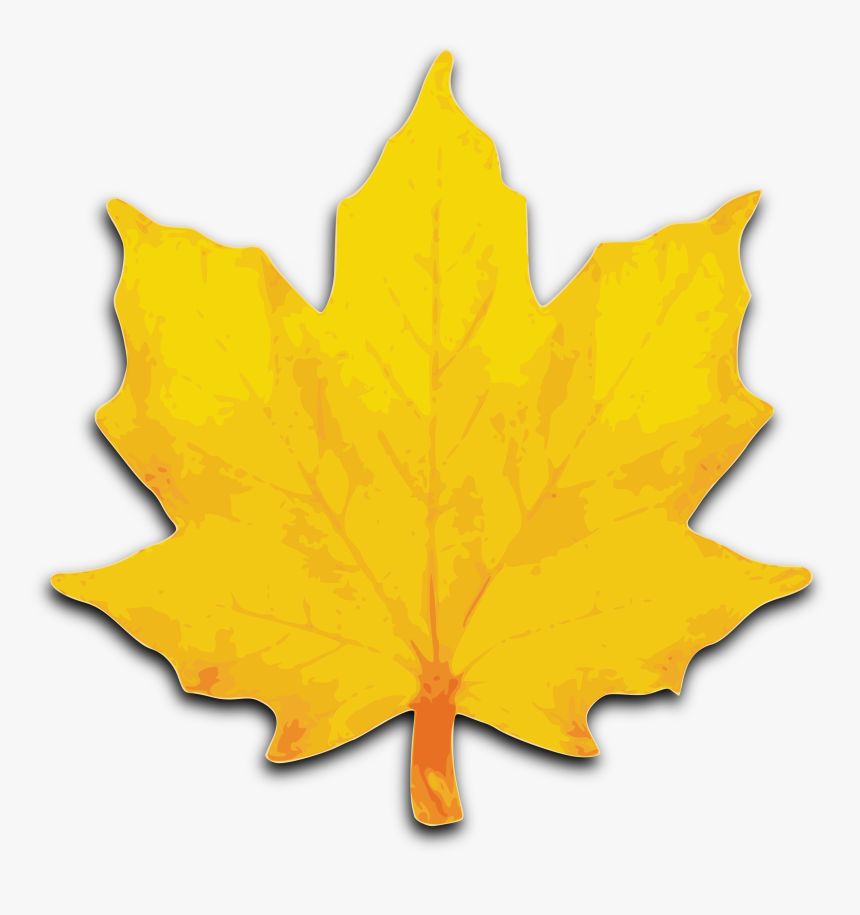 M Leaf Big Image - Maple Leaves 