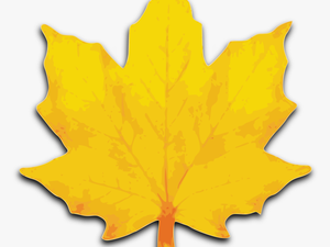 M Leaf Big Image - Maple Leaves Clip Art