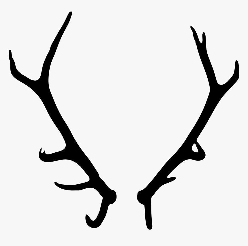 Elk Deer Antler Drawing - Transparent Background Antlers Png