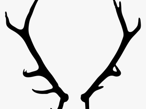 Elk Deer Antler Drawing - Transparent Background Antlers Png
