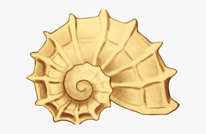 Yellow For Free Download - Clipart Seashell