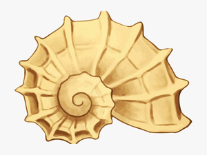 Yellow For Free Download - Clipart Seashell
