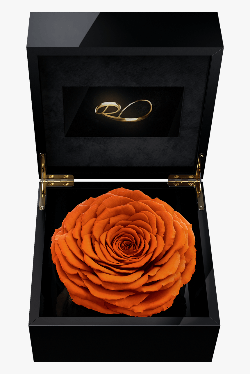 Luxury Video Flower Box Magna Wi