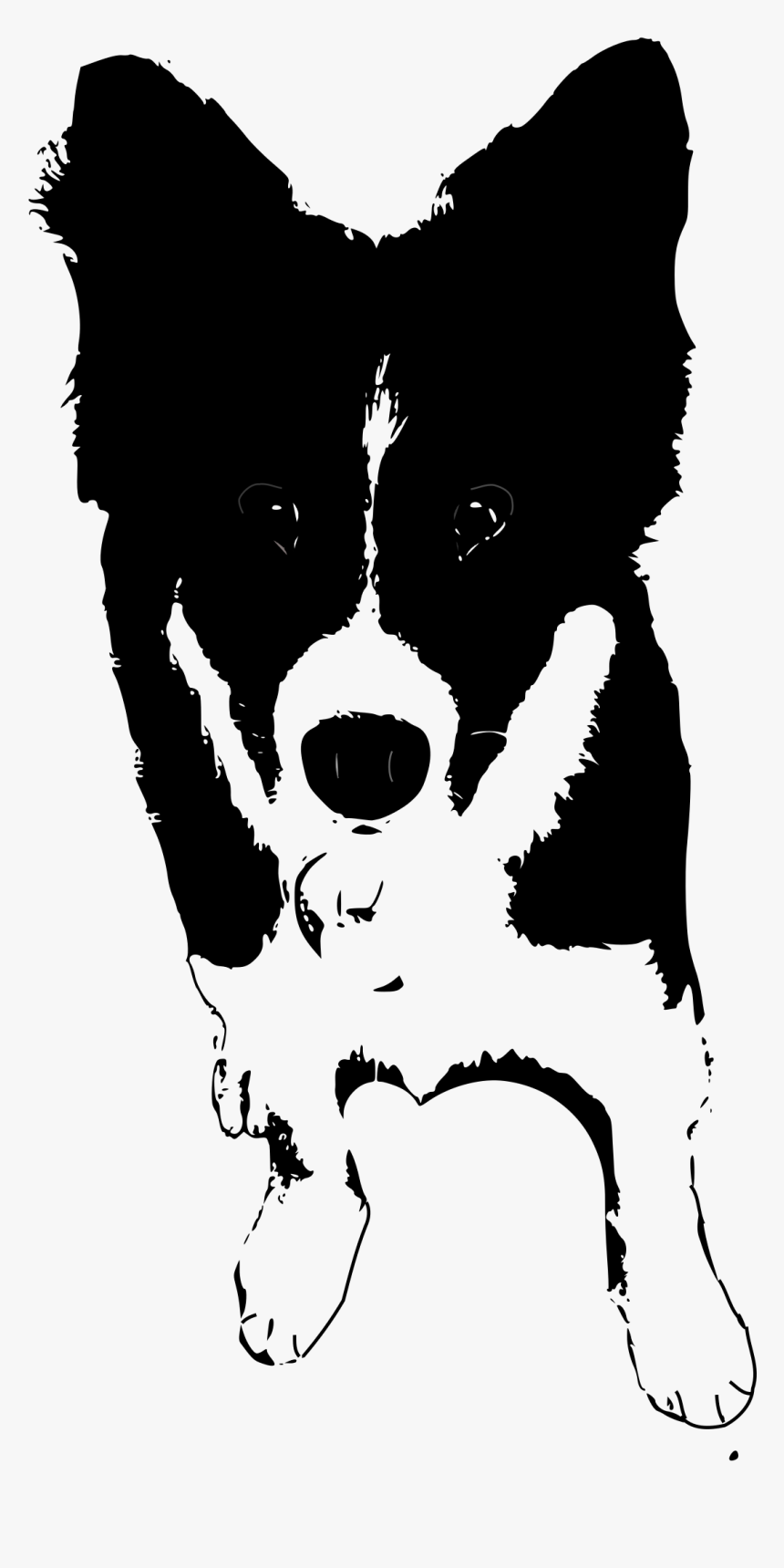 Border Collie Puppy Clip Arts - Dogs Clipart Black And White Collie