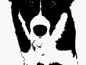 Border Collie Puppy Clip Arts - Dogs Clipart Black And White Collie