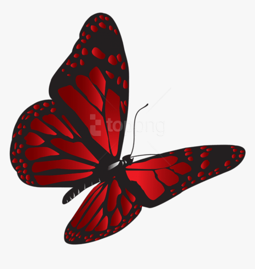 Download Red Butterfly Png Clipa