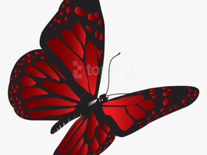 Download Red Butterfly Png Clipart Png Photo - Clipart Red Butterfly Png