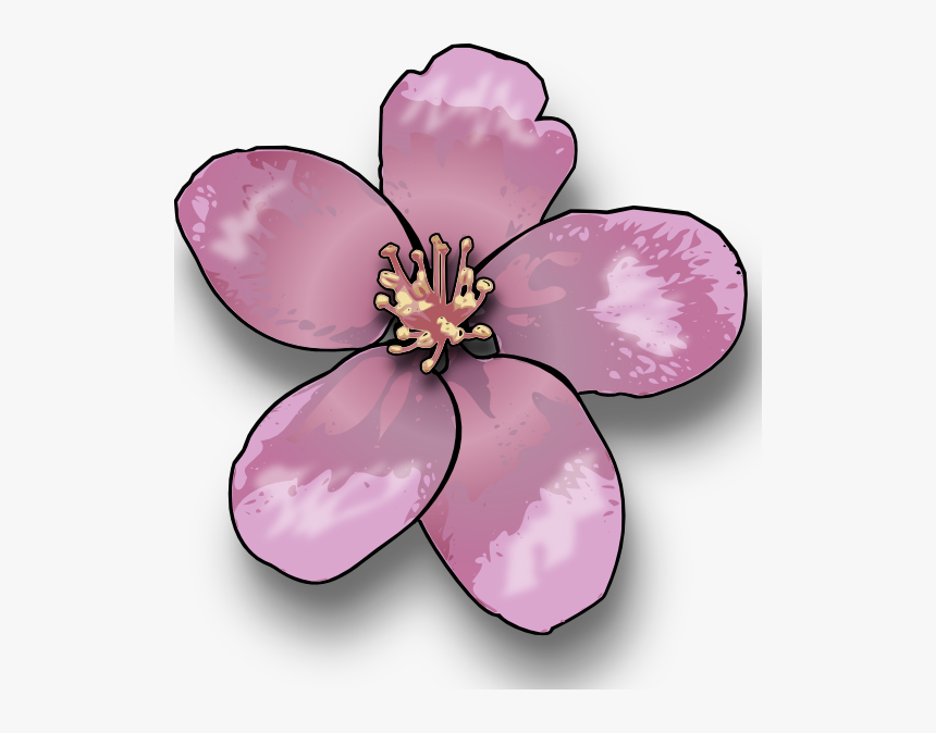 Apple Blossom Clip Art