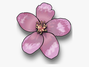 Apple Blossom Clip Art