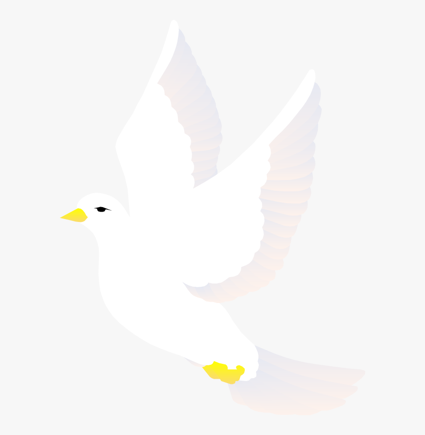 Free Vector Bird - White Bird Ve
