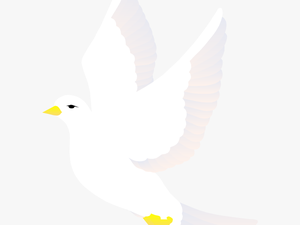 Free Vector Bird - White Bird Vector Png
