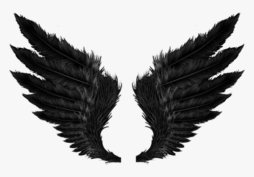 #feather #feathers #featherwings #blackwongs #wings - Wings Png