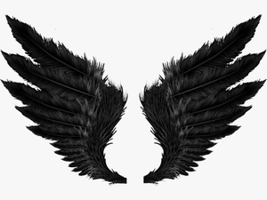 #feather #feathers #featherwings #blackwongs #wings - Wings Png