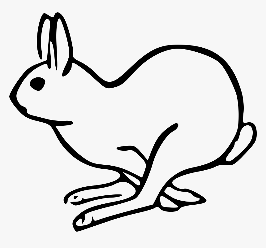 Bunny Danko Friendly Rabbit Clip Art At Vector Clip - Arctic Hare Clip Art