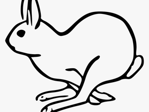 Bunny Danko Friendly Rabbit Clip Art At Vector Clip - Arctic Hare Clip Art
