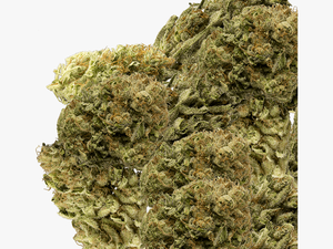 Buds Group - Marijuana Buds Png