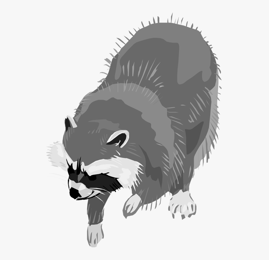 Free Raccoon Png Image Clipart - Raccoon Clipart Transparent Background