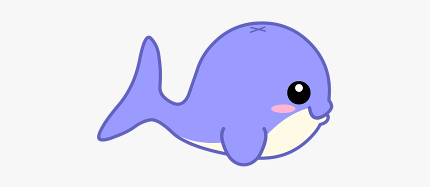 Dolphin Blue Whale Porpoise - Ca