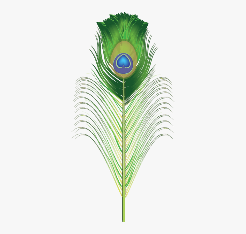 Peacock Brush For Adobe Illustrator Green Png Png Images - Transparent Peacock Png Feather