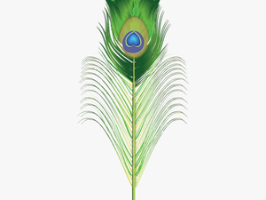Peacock Brush For Adobe Illustrator Green Png Png Images - Transparent Peacock Png Feather