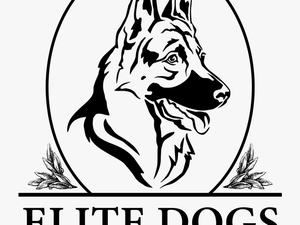 Elite Dogs Training & Boarding - German Shepherd Pencil Drawing