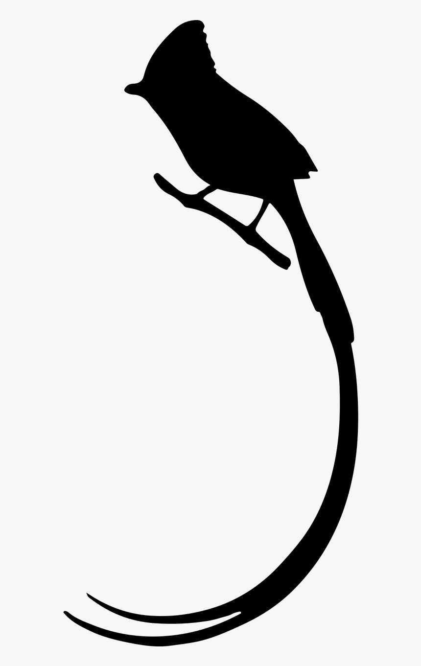 Bird Penguin Silhouette Tail Cli