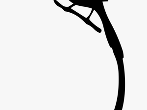 Bird Penguin Silhouette Tail Clip Art - Bird Long Tail Silhouette