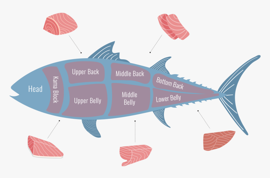 Tuna Cuts