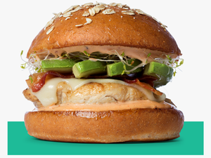 Grub Burger Bar - Grub Burger Chicken Sandwich