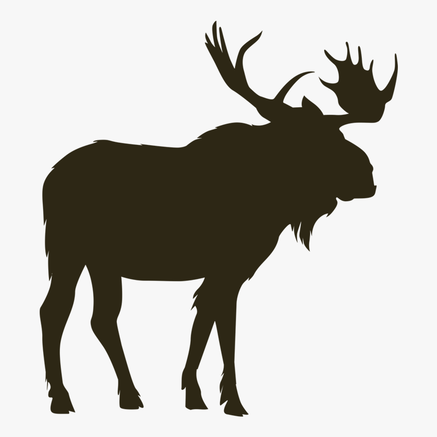 Home North River Outfitting - Moose Vector