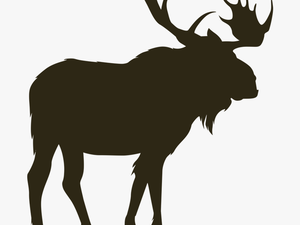 Home North River Outfitting - Moose Vector