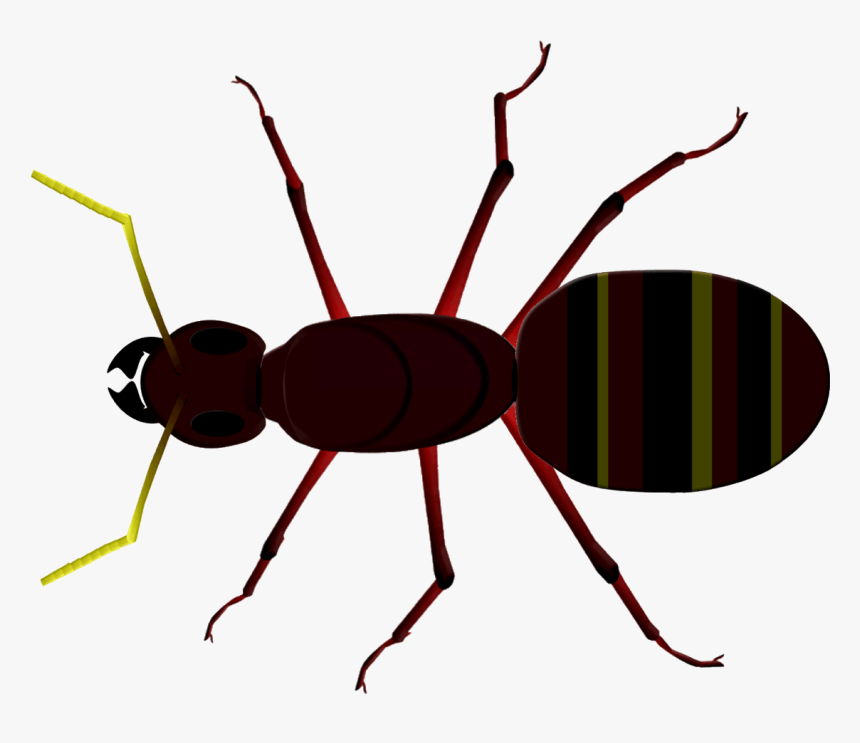 Ant Clipart Tiny Ant - Insect He