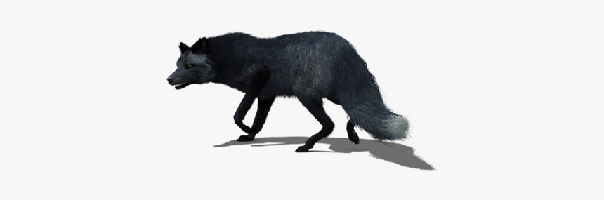 Black Fox - Black Fox 3d