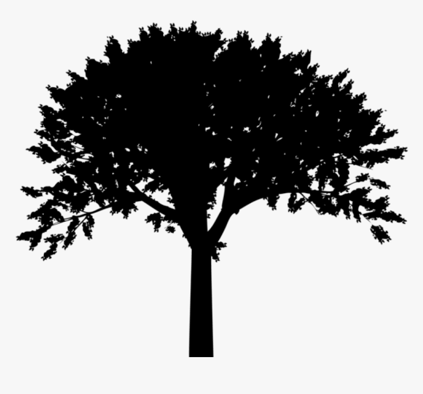 Free Png Tree Silhouette Png Png