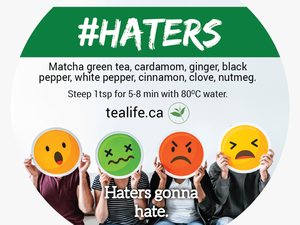 Haters - Emotions People Feel