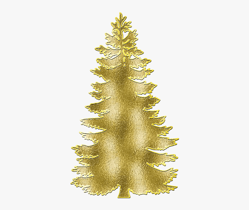 Zoom Diseño Y Fotografia - Pine Trees Svg