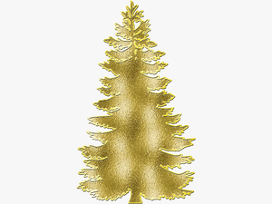 Zoom Diseño Y Fotografia - Pine Trees Svg